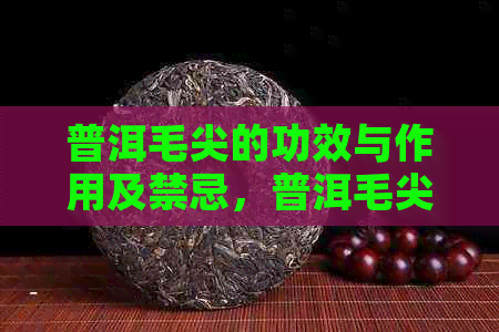 普洱毛尖的功效与作用及禁忌，普洱毛尖茶功效，普洱毛尖是哪一类绿茶。