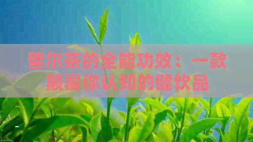 普尔茶的全能功效：一款颠覆你认知的健饮品