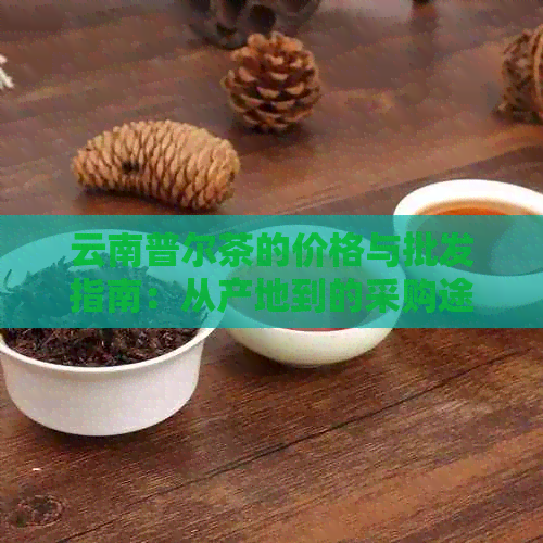 云南普尔茶的价格与批发指南：从产地到的采购途径