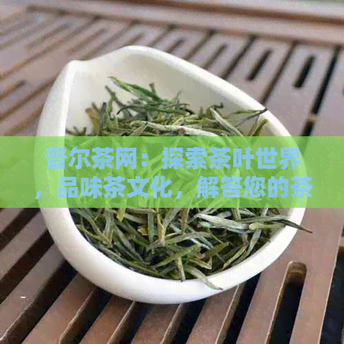 普尔茶网：探索茶叶世界，品味茶文化，解答您的茶叶相关问题