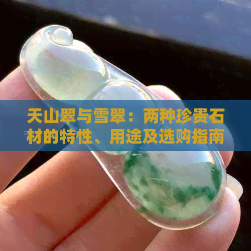 天山翠与雪翠：两种珍贵石材的特性、用途及选购指南