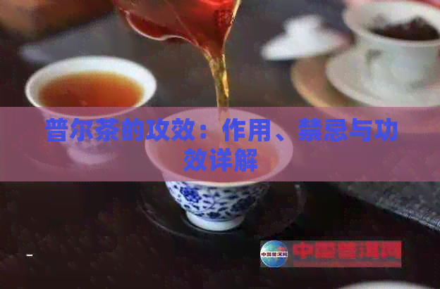 普尔茶的攻效：作用、禁忌与功效详解