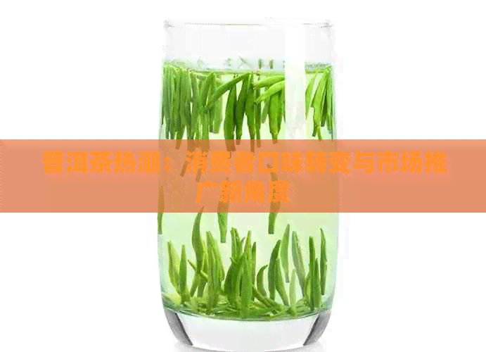 普洱茶热潮：消费者口味转变与市场推广新角度