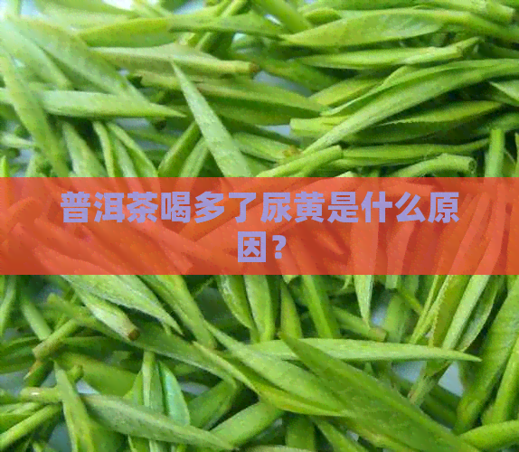 普洱茶喝多了尿黄是什么原因？