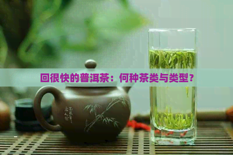 回很快的普洱茶：何种茶类与类型？