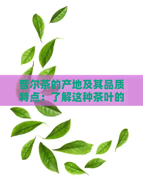 普尔茶的产地及其品质特点：了解这种茶叶的来源和口感