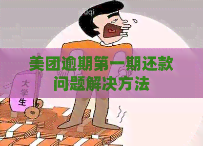 美团逾期之一期还款问题解决方法