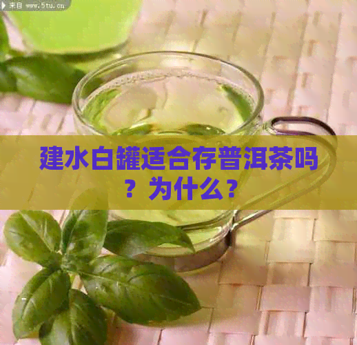 建水白罐适合存普洱茶吗？为什么？