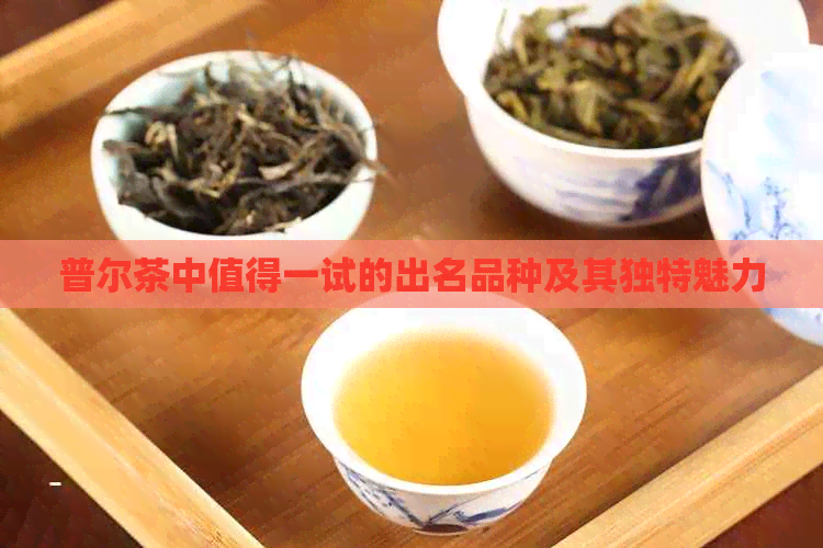 普尔茶中值得一试的出名品种及其独特魅力