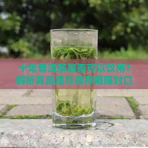 十年普洱茶是否可以饮用？解析其品质与保存期限对口感的影响