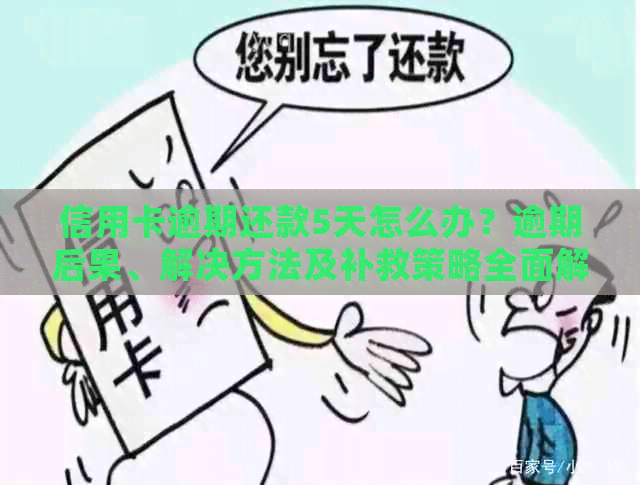 信用卡逾期还款5天怎么办？逾期后果、解决方法及补救策略全面解析