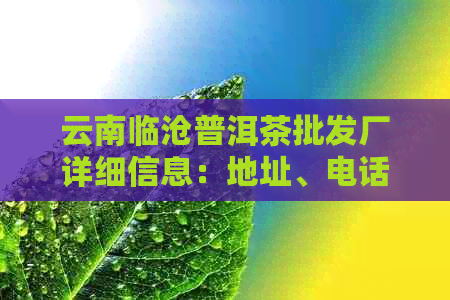 云南临沧普洱茶批发厂详细信息：地址、电话、产品种类等一应俱全