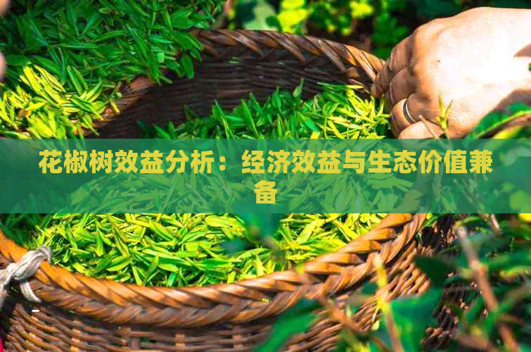 花椒树效益分析：经济效益与生态价值兼备