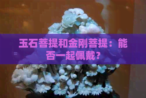 玉石菩提和金刚菩提：能否一起佩戴？