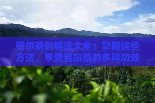 普尔茶的喝法大全：掌握这些方法，享受普尔茶的多种功效！