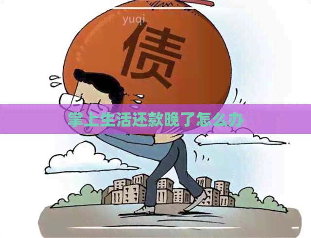 掌上生活还款晚了怎么办