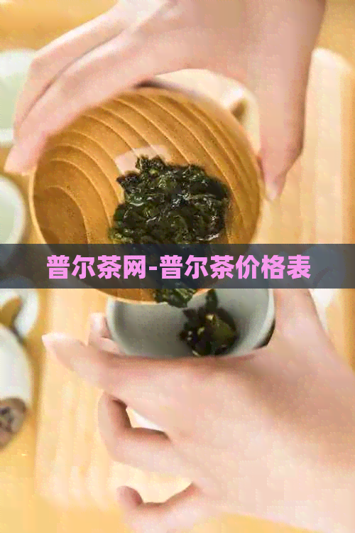 普尔茶网-普尔茶价格表