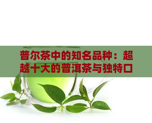 普尔茶中的知名品种：超越十大的普洱茶与独特口感