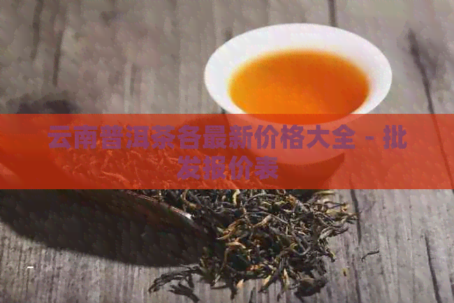 云南普洱茶各最新价格大全 - 批发报价表