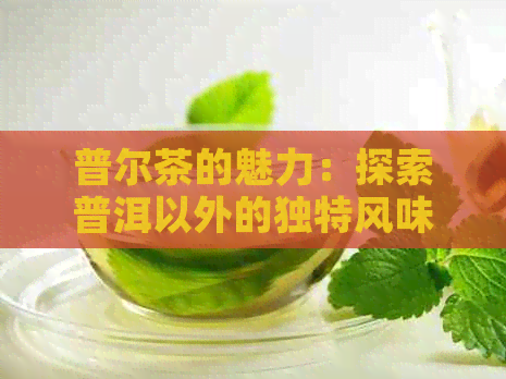 普尔茶的魅力：探索普洱以外的独特风味