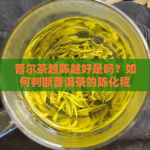 普尔茶越陈越好是吗？如何判断普洱茶的陈化程度？