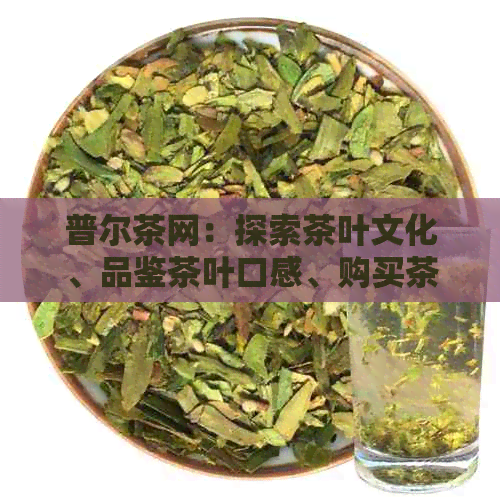 普尔茶网：探索茶叶文化、品鉴茶叶口感、购买茶叶制品的全方位茶叶信息平台