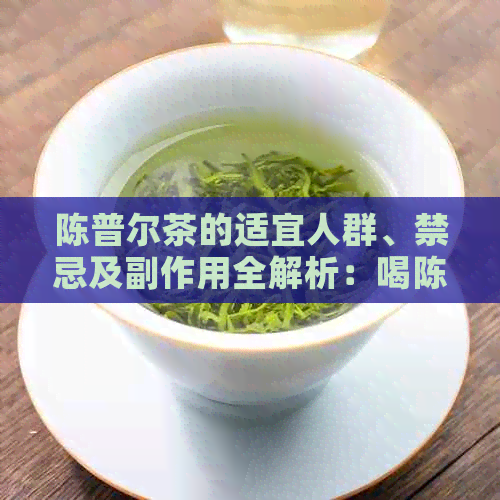 陈普尔茶的适宜人群、禁忌及副作用全解析：喝陈普尔茶真的安全吗？