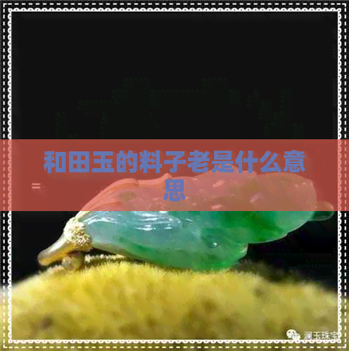 和田玉的料子老是什么意思