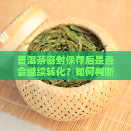 普洱茶密封保存后是否会继续转化？如何判断普洱茶是否已经完成转化？