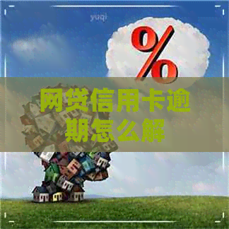 网贷信用卡逾期怎么解