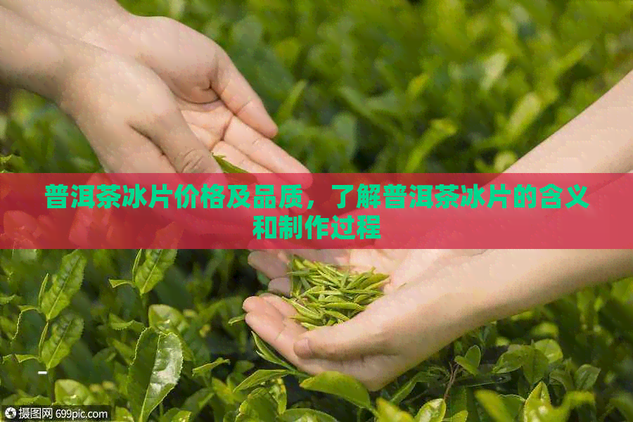 普洱茶冰片价格及品质，了解普洱茶冰片的含义和制作过程