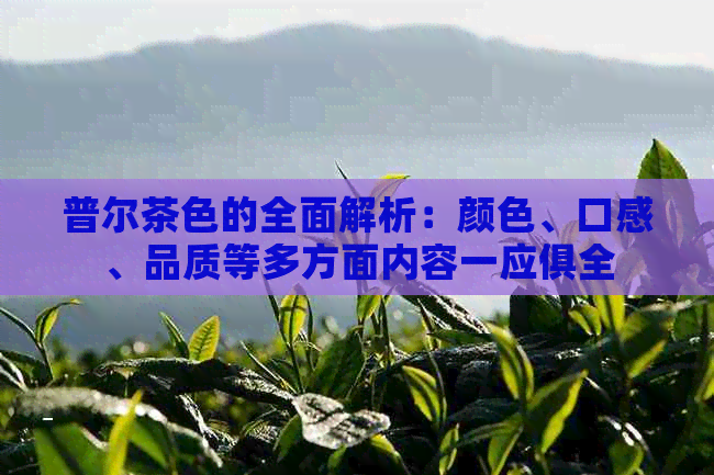 普尔茶色的全面解析：颜色、口感、品质等多方面内容一应俱全