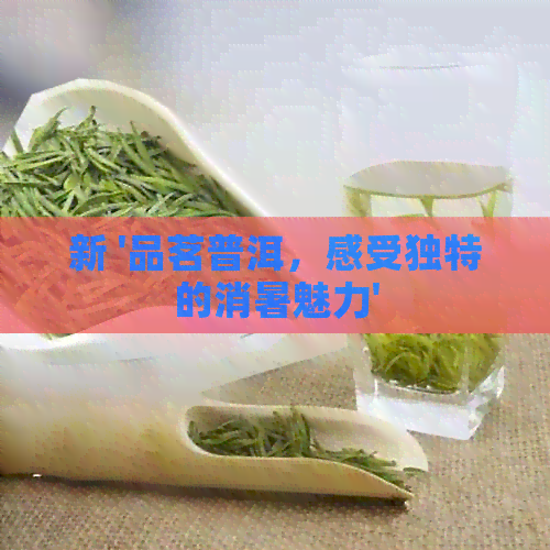 新 '品茗普洱，感受独特的消暑魅力'