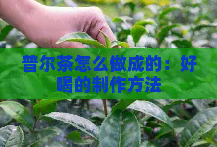 普尔茶怎么做成的：好喝的制作方法