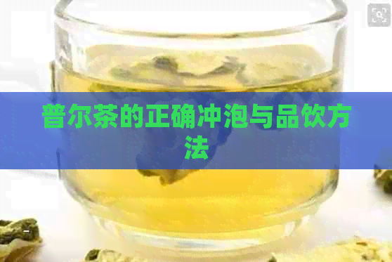 普尔茶的正确冲泡与品饮方法