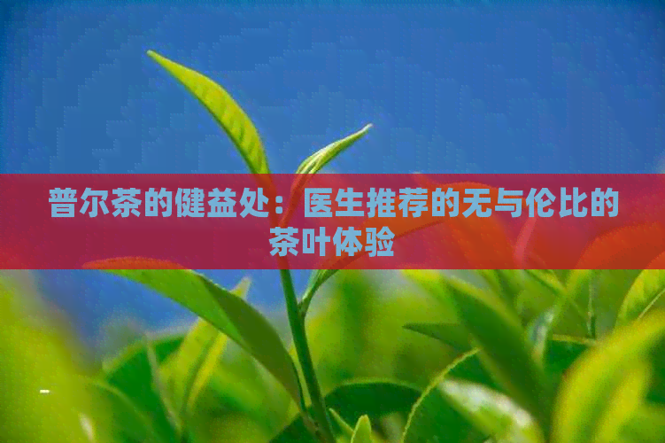 普尔茶的健益处：医生推荐的无与伦比的茶叶体验