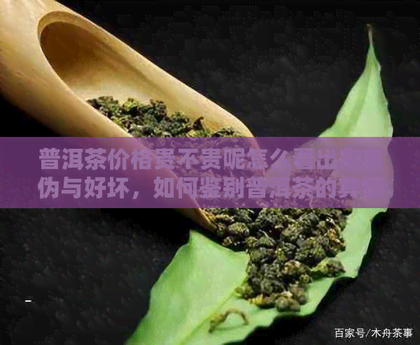 普洱茶价格贵不贵呢怎么看出来真伪与好坏，如何鉴别普洱茶的真假和价格？