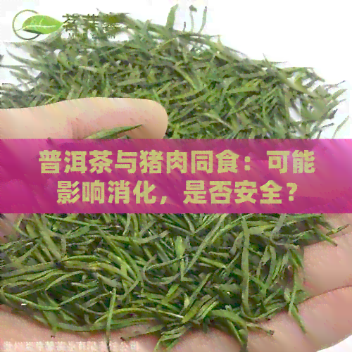 普洱茶与猪肉同食：可能影响消化，是否安全？