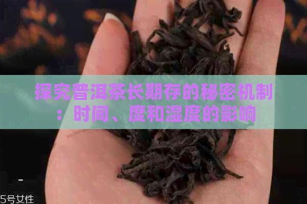 探究普洱茶长期存的秘密机制：时间、度和湿度的影响