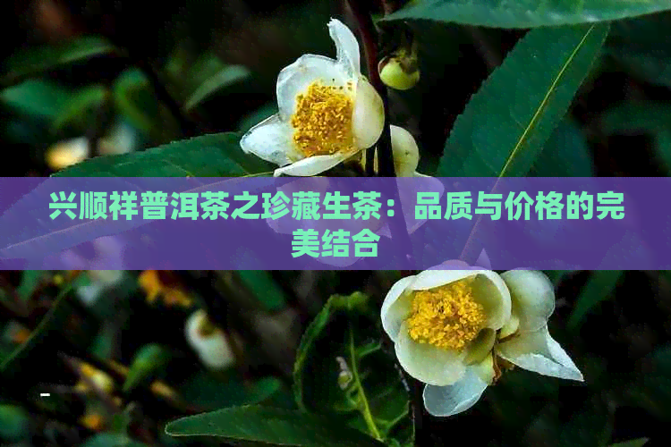 兴顺祥普洱茶之珍藏生茶：品质与价格的完美结合