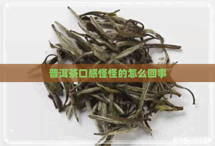 普洱茶口感怪怪的怎么回事