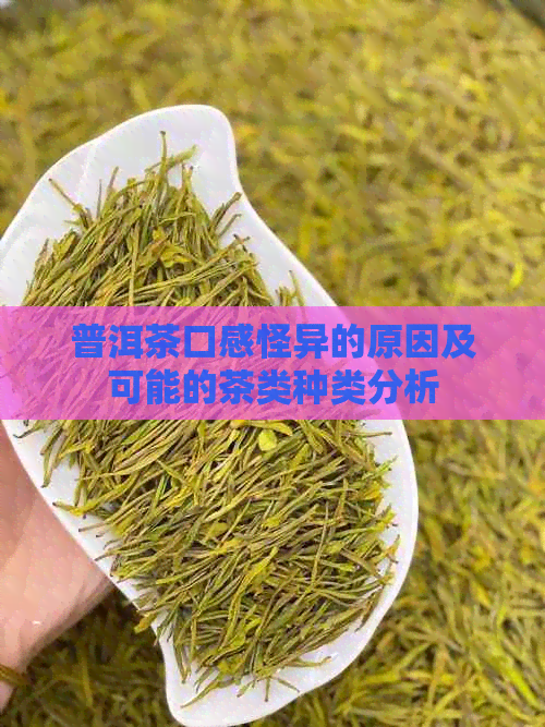 普洱茶口感怪异的原因及可能的茶类种类分析