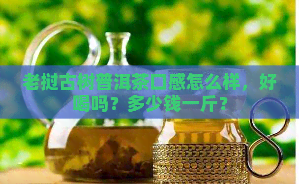 老挝古树普洱茶口感怎么样，好喝吗？多少钱一斤？