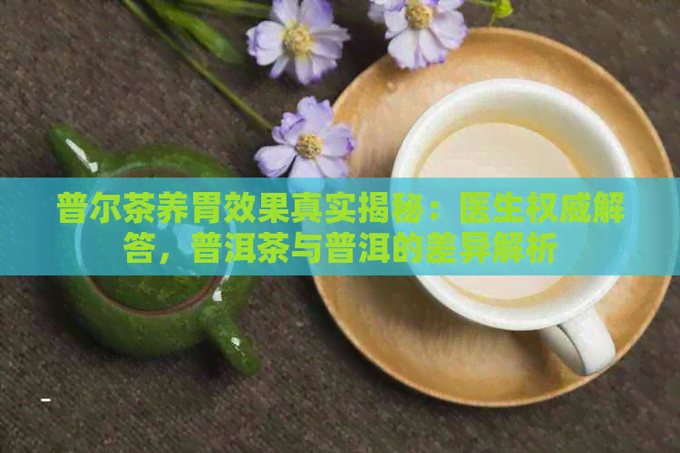 普尔茶养胃效果真实揭秘：医生权威解答，普洱茶与普洱的差异解析