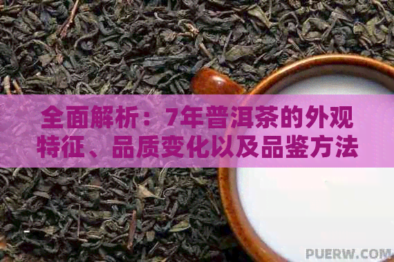 全面解析：7年普洱茶的外观特征、品质变化以及品鉴方法