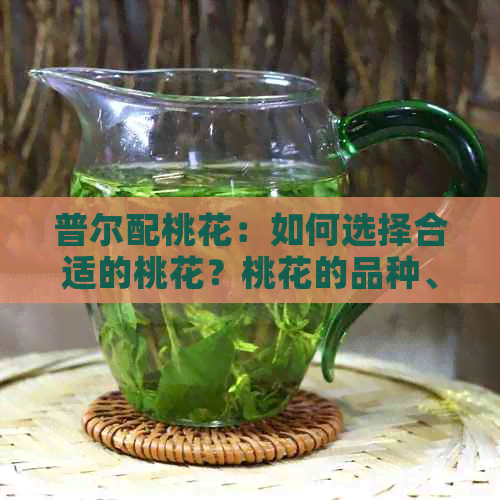 普尔配桃花：如何选择合适的桃花？桃花的品种、养护方法及风水寓意全面解析