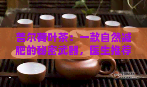 普尔荷叶茶：一款自然减肥的秘密武器，医生推荐的健饮品