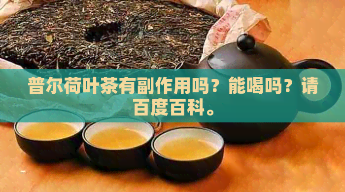 普尔荷叶茶有副作用吗？能喝吗？请百度百科。