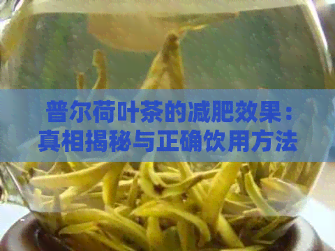 普尔荷叶茶的减肥效果：真相揭秘与正确饮用方法