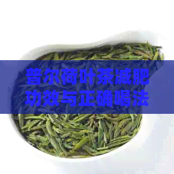 普尔荷叶茶减肥功效与正确喝法，助您轻松瘦身